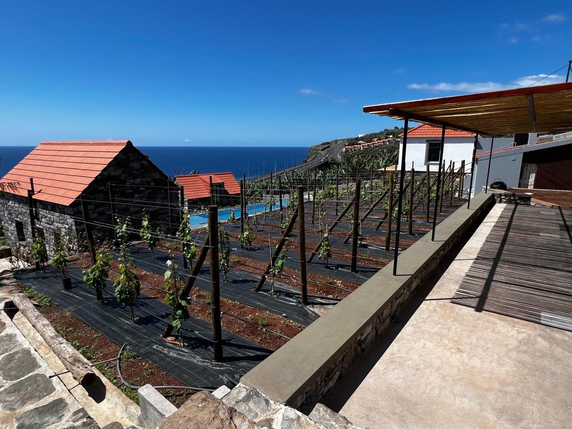 Casas Do Laranjo- Cottages & Infinity Pool Gaula Eksteriør bilde